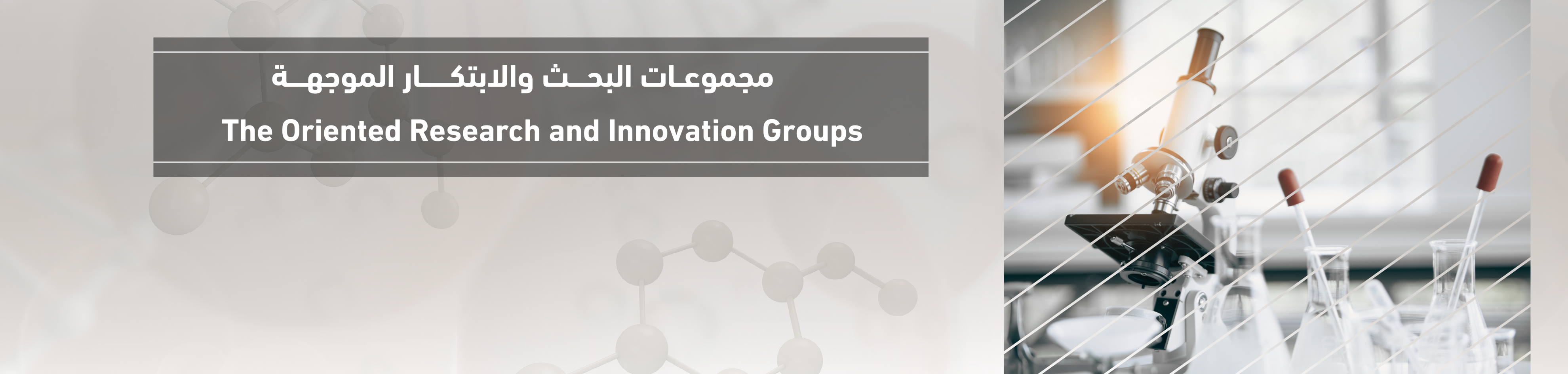 The Oriented Research and Innovation Groups